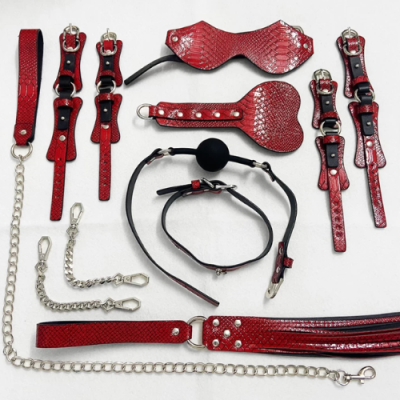Bộ BDSM 10 món cao da cao cấp vân đỏ
