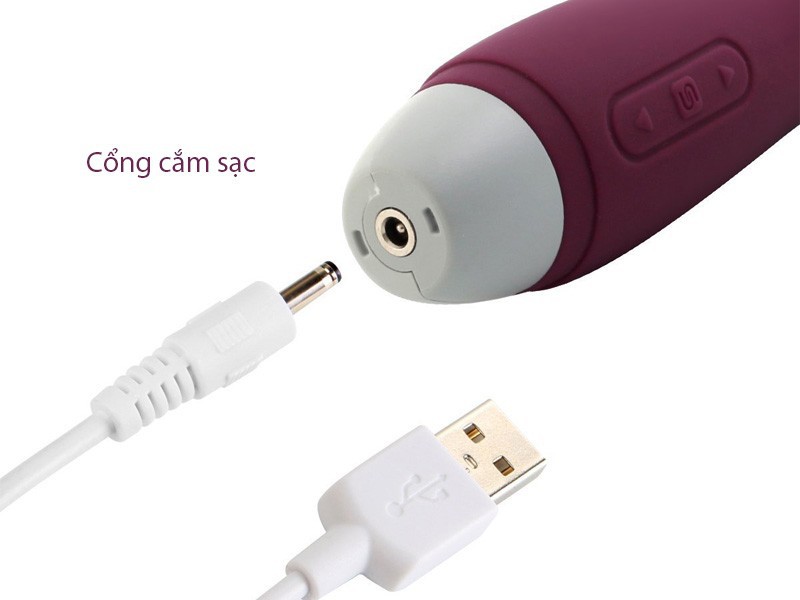 Massage điểm G pin sạc Svakom Lisa nhập khẩu USA 6