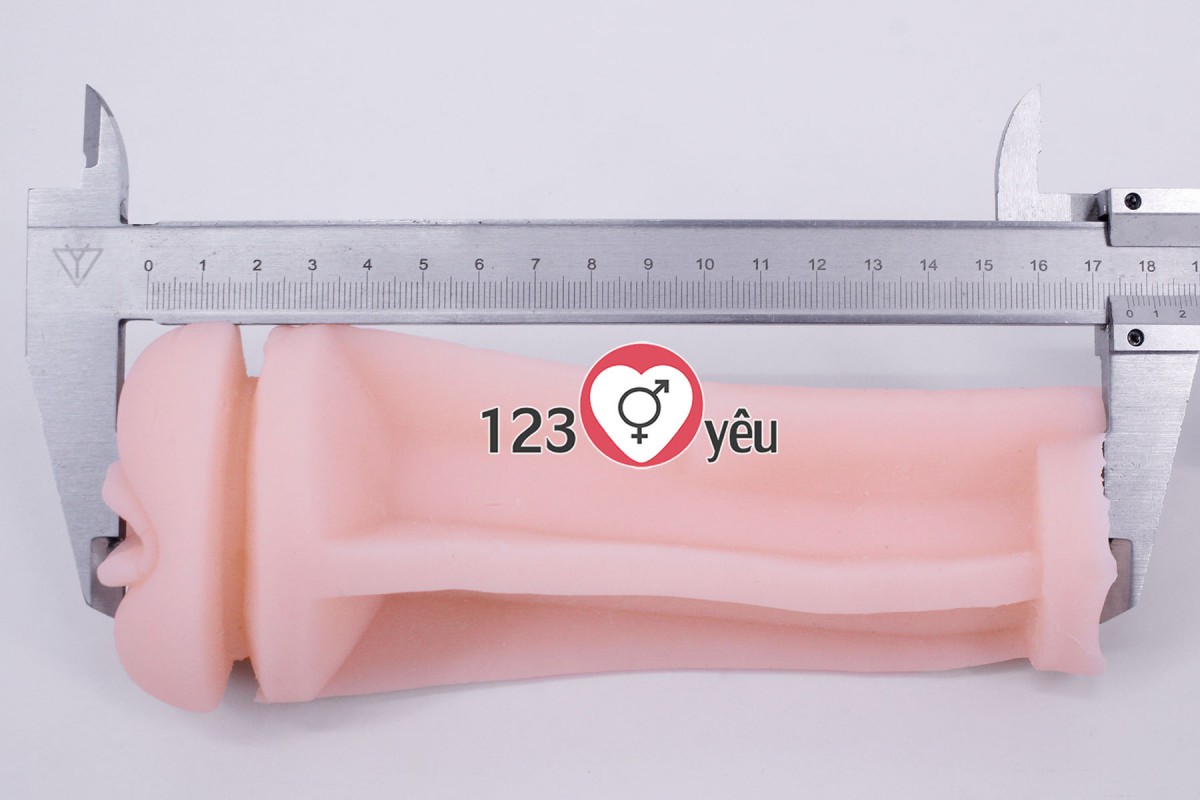 Âm đạo giả nguỵ trang đèn pin Bussy 9